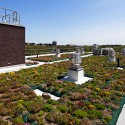 The Hegeman / Cook+Fox Architects (5)
