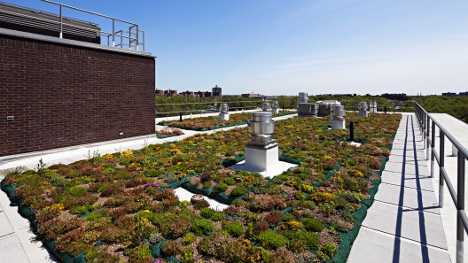 The Hegeman / Cook+Fox Architects (5)