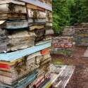 Update: Jardin de la Connaissance (3) © Thilo Folkerts