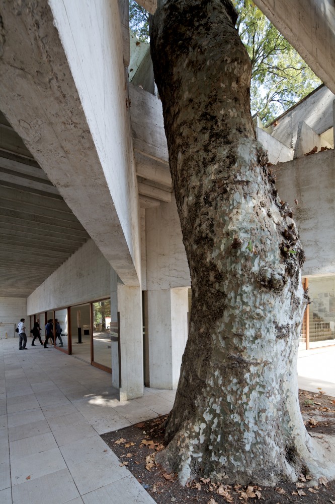 Venice Biennale 2012: Light Houses, On the Nordic Common Ground / Nordic Pavilion