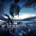 Natural History Museum Proposal (3) whale hall