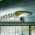 Natural History Museum Proposal (11) whales