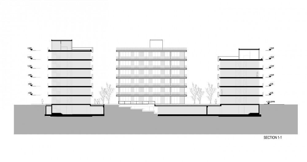 Alemdag Housing / Baraka Architects