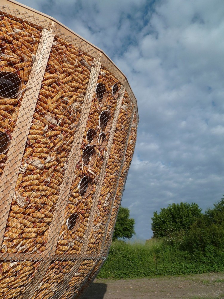 Tourner autour du Ried / StAndré-Lang Architectes