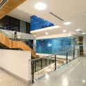 Flinders Centre for Innovation in Cancer / Woodhead Flinders Centre for Innovation in Cancer / Woodhead © Steve Rendoulis