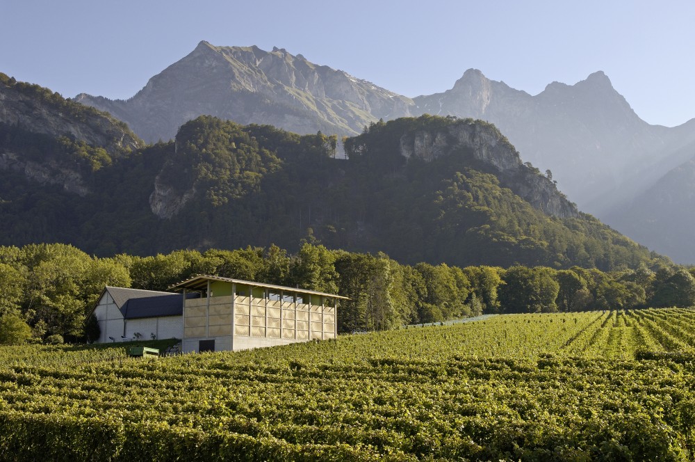 Winery Gantenbein / Gramazio & Kohler + Bearth & Deplazes Architekten