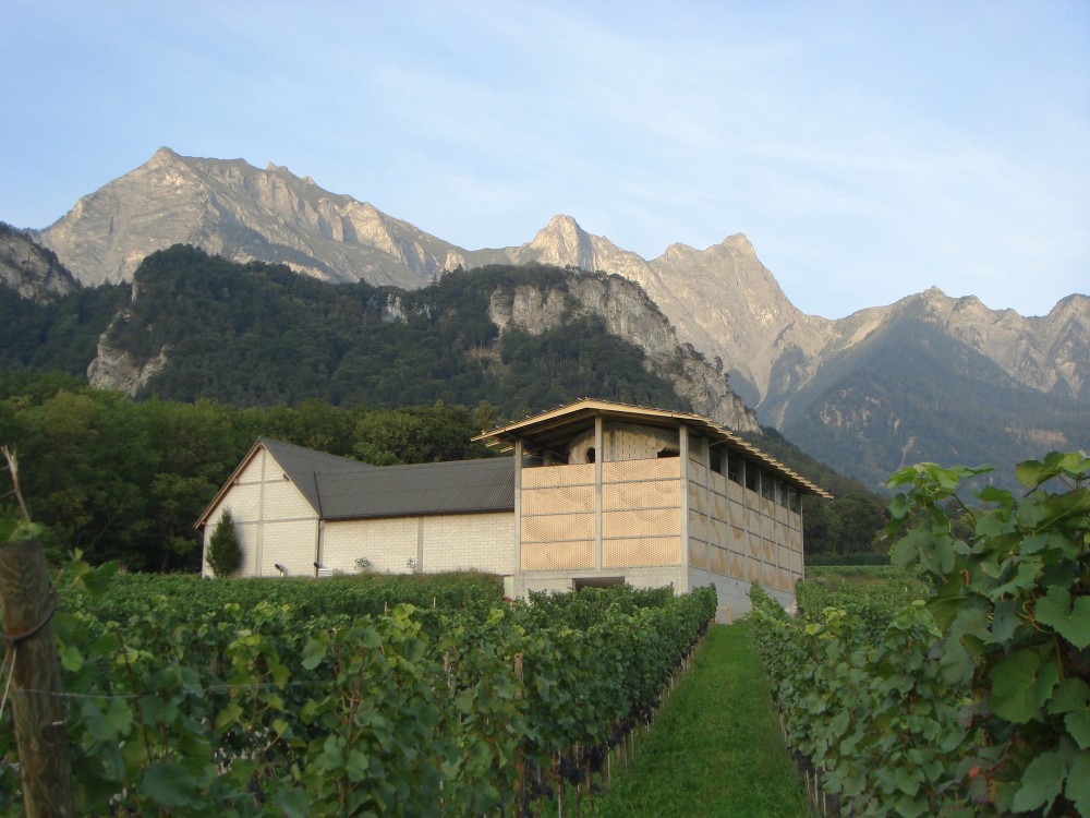 Winery Gantenbein / Gramazio & Kohler + Bearth & Deplazes Architekten