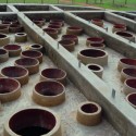 In Progress_School Library Gando / Kere Architecture In Progress_School Library Gando / Kere Architecture Courtesy of Kere Architecture