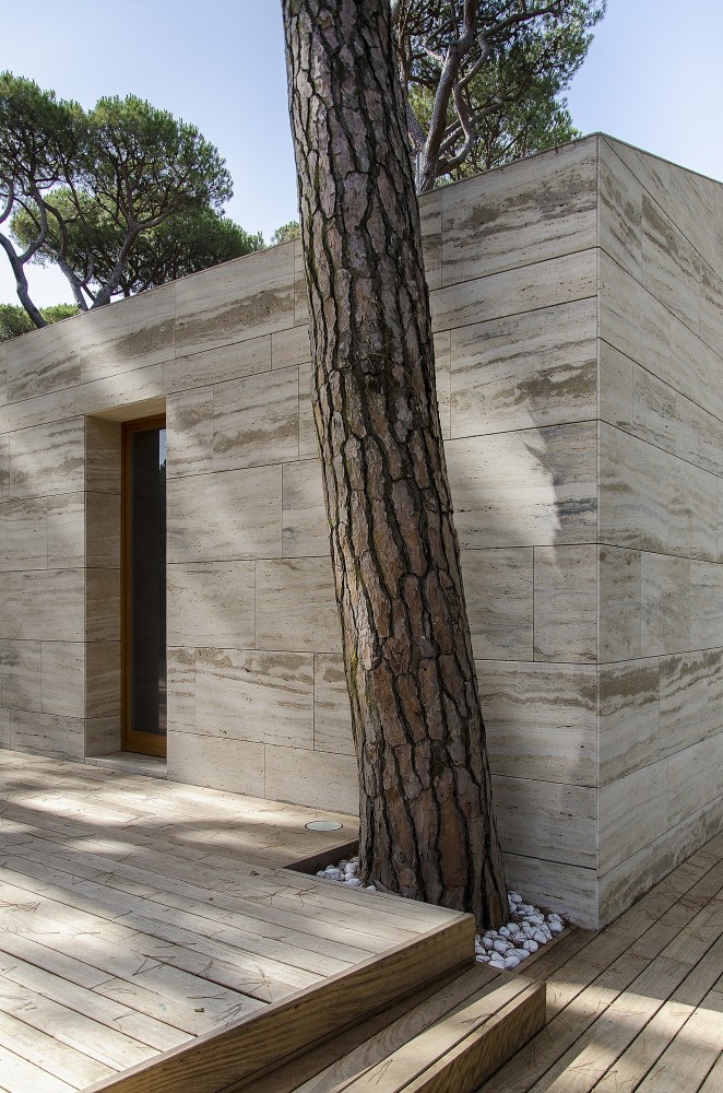Pinewood of Marina / Massimo Fiorido Associati + sundaymorning