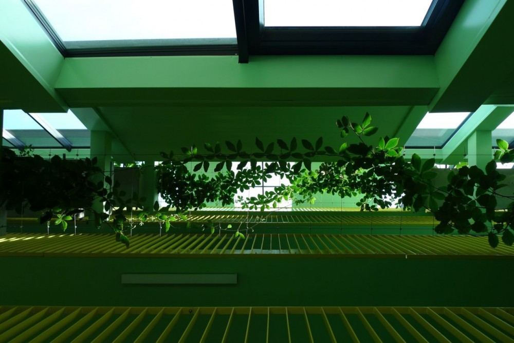 Multi-generational: Living at Mühlgrund  / ARTEC Architekten
