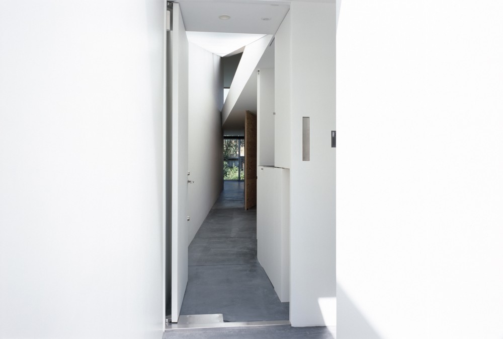 M House / D.I.G Architects