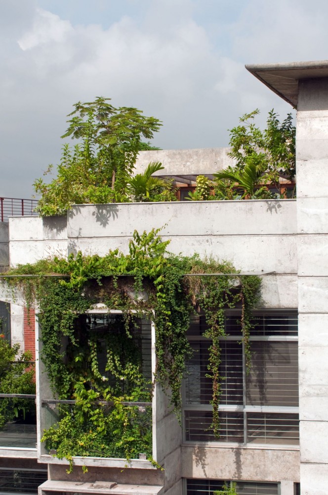 South Water Carees / Shatotto