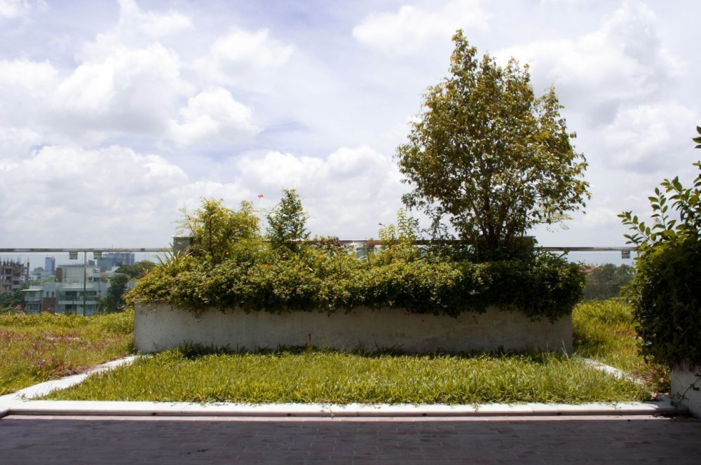 South Water Carees / Shatotto