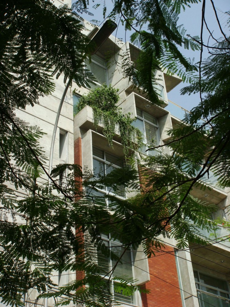 South Water Carees / Shatotto
