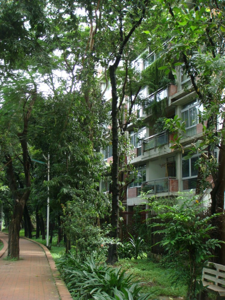 South Water Carees / Shatotto