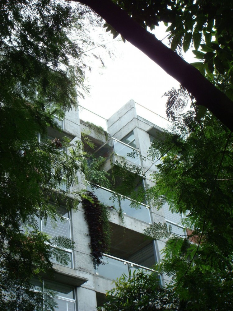South Water Carees / Shatotto