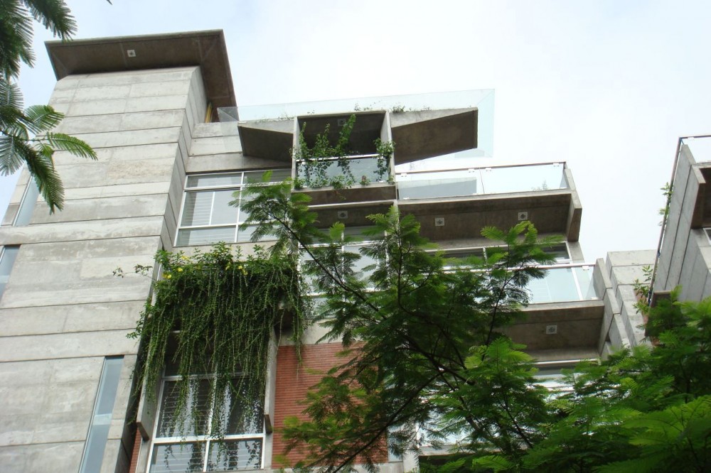 South Water Carees / Shatotto