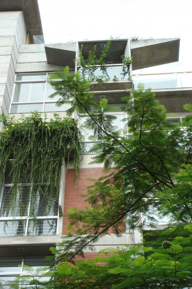 South Water Carees / Shatotto