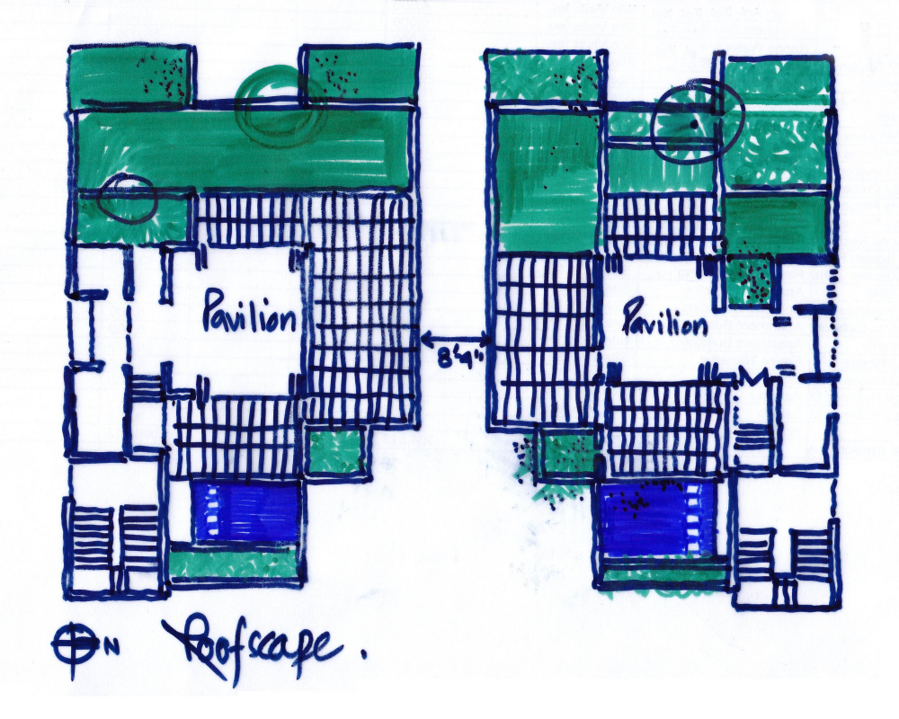 South Water Carees / Shatotto