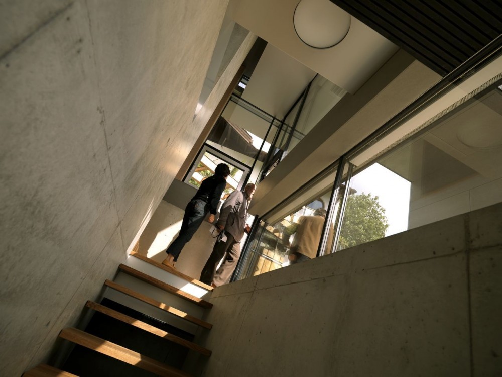 House D / Pauhof Architekten