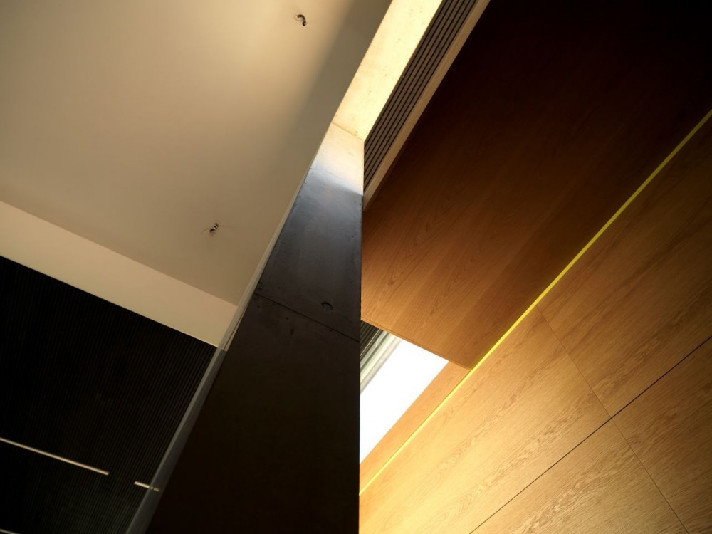 House D / Pauhof Architekten