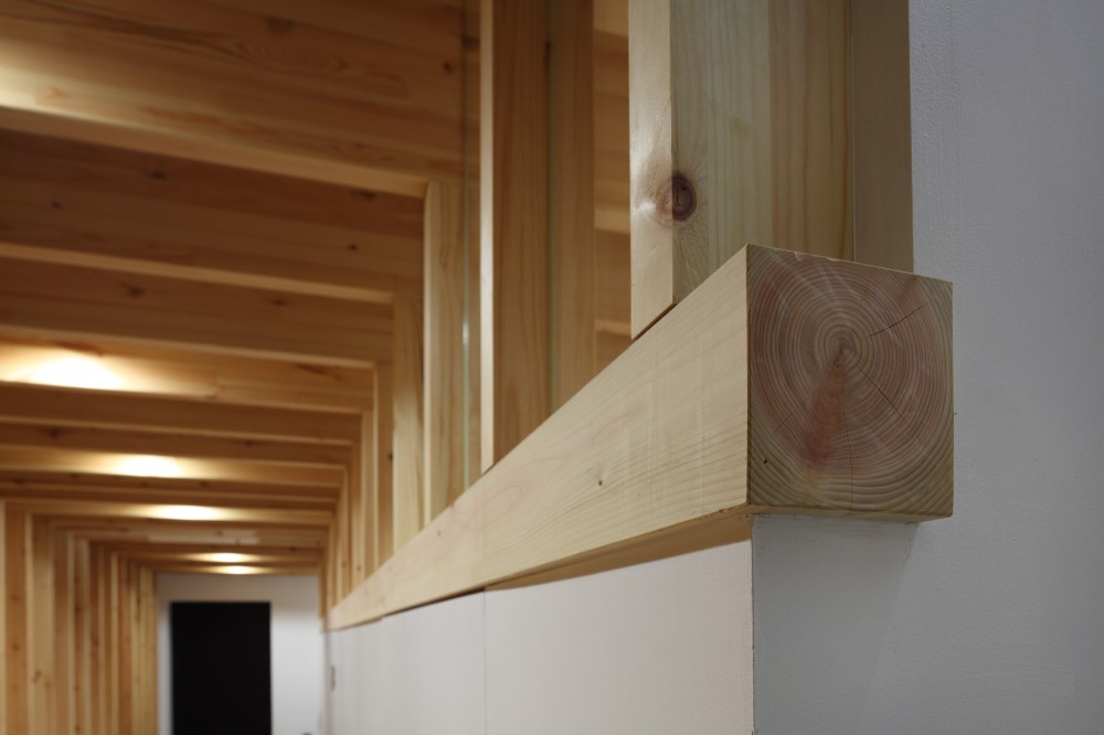 Grove House / Jun’ichi Ito Architect & Associates