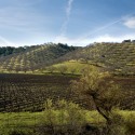 Kukkula Winery / Studio B Architects Kukkula Winery / Studio B Architects © Derek Skalko