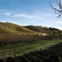 Kukkula Winery / Studio B Architects Kukkula Winery / Studio B Architects © Derek Skalko