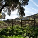 Kukkula Winery / Studio B Architects Kukkula Winery / Studio B Architects © Derek Skalko