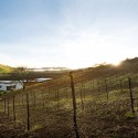 Kukkula Winery / Studio B Architects Kukkula Winery / Studio B Architects © Derek Skalko
