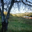 Kukkula Winery / Studio B Architects Kukkula Winery / Studio B Architects © Derek Skalko