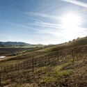 Kukkula Winery / Studio B Architects Kukkula Winery / Studio B Architects © Derek Skalko