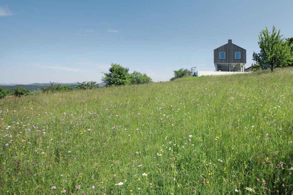 House D / HHF Architects