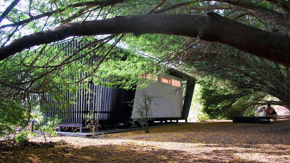 Dojo / UMWELT + Lucía Cavecedo García