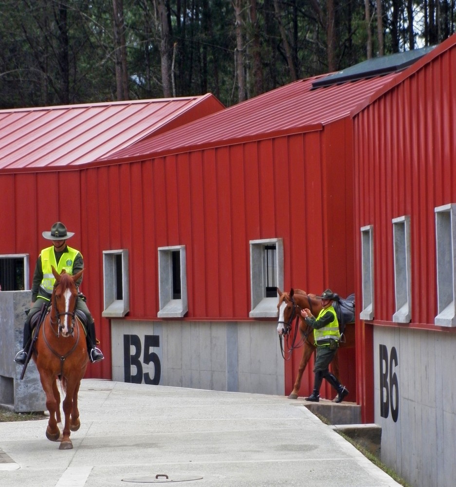 ‘Carabineros’ Fort / EDU Medellín