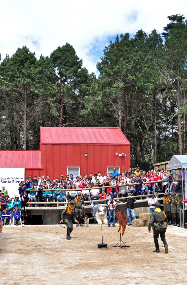 ‘Carabineros’ Fort / EDU Medellín