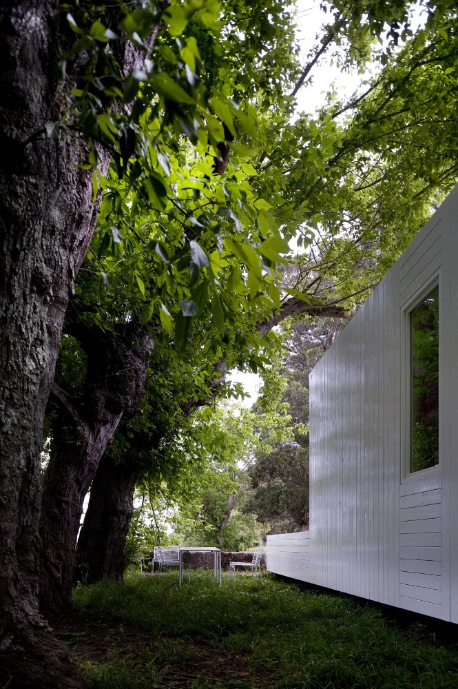 Treehouse Riga / Appleton & Domingos
