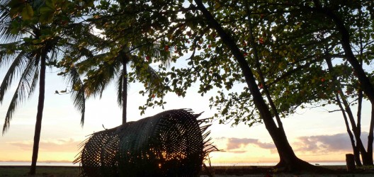 Lightweave Palm Observatory (1)