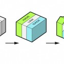 cebra7 cebra7 © CEBRA