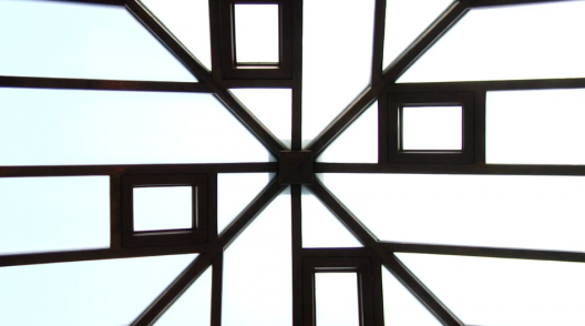 Video: Darwin Martin House / Frank Lloyd Wright (1)