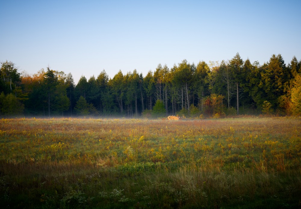 Flight 93 National Memorial / Paul Murdoch Architects
