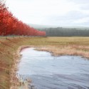 Flight 93 National Memorial / Paul Murdoch Architects (19) Flight 93 National Memorial / Paul Murdoch Architects (19) Allee Wetlands: Competition Rendering © Biolinia & Paul Murdoch Architects