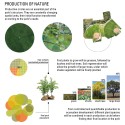La Carlota Park Competition Proposal (13) diagram 02