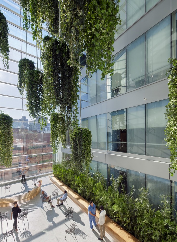 AIA Selects Four Projects for National Healthcare Design Awards