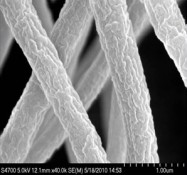 Micrograph picture of cellulose nanocrystals combined with PMMA fibers. Courtesy of U.S. Forest Service