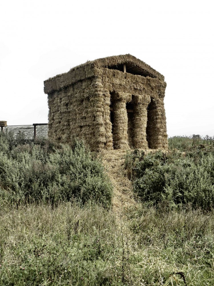 Temple in Antis / AG “LesoSplaw”