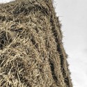 Temple in Antis (7) © Alexandr Berzing
