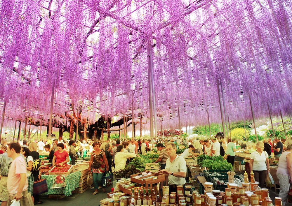 Almere with MVRDV selected for Floriade 2022!