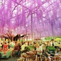Almere with MVRDV selected for Floriade 2022! (6) © MVRDV