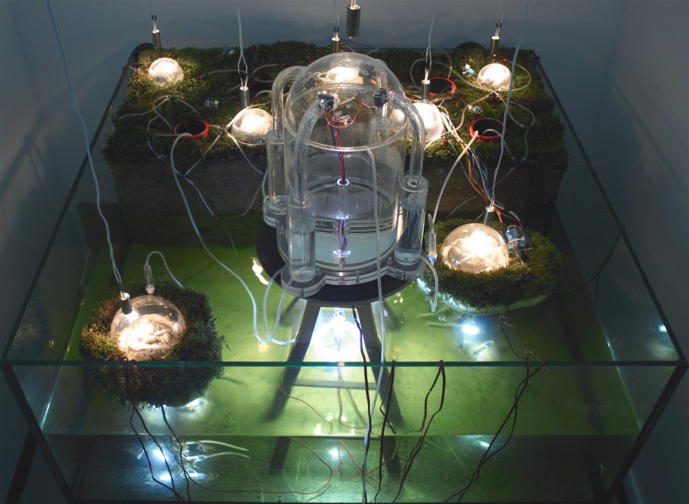 ‘Networking Nature’ Installation / Studiomobile